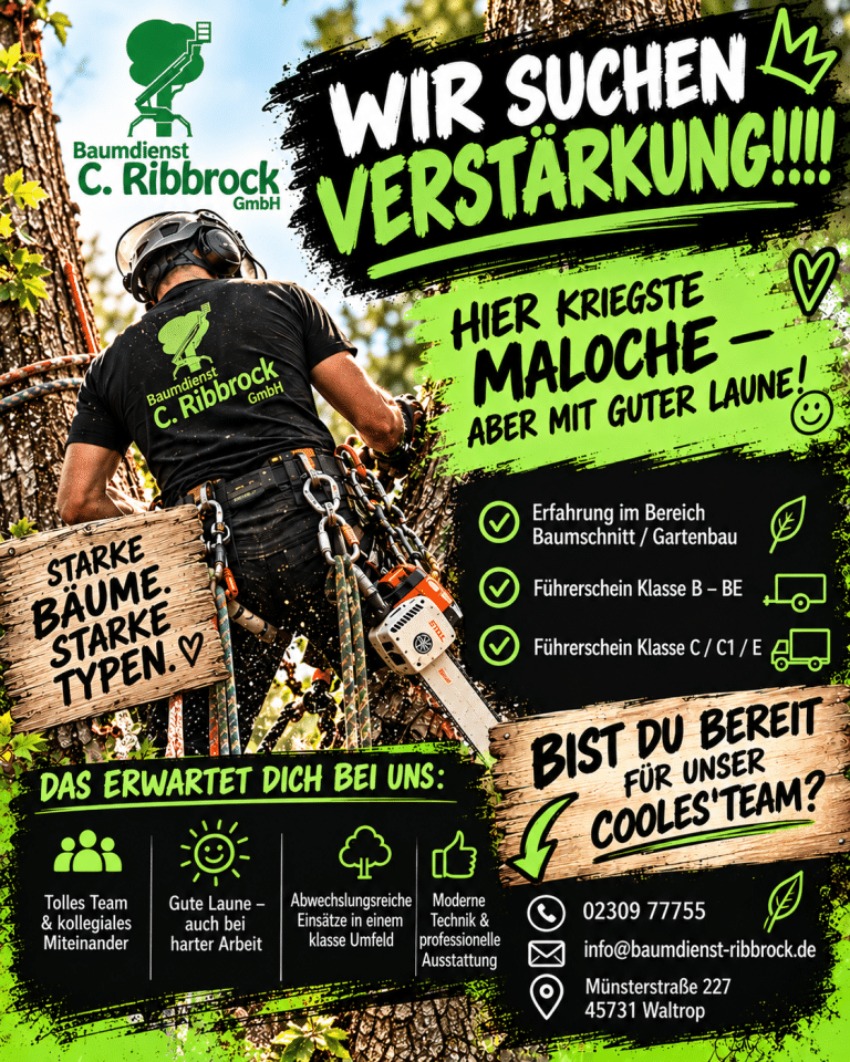 Plakat des Unternehmens Baumdienst C. Ribbrock; Überschrift "Wir suchen Verstärkung", weiterer Text. 