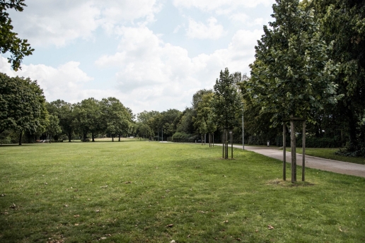 Moselbachpark Sommer 02