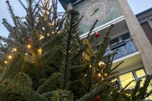 Ausschnitt des Wunschbaumes vor dem Waltroper Rathaus.