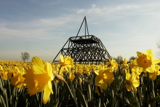 Spurwerkturm mit Blumenwiese