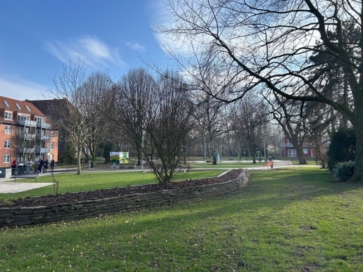Blick in den Stutenteichpark mit Bäumen, Beeten, Rasenflächen, im Hintergrund Bebauung. 