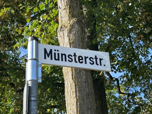 Straßenschild Münsterstraße, im Hintergrund ein Baum.
