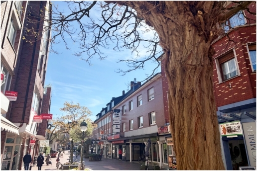 Auf dem Bild: Fußgängerzone in der Waltroper Innenstadt
