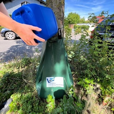 Eine Person füllt einen grünen Bewässerungsbeutel an einem Baum. 
