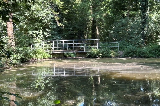 Brücke an einem Teich.