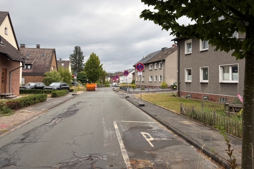 Straße, links und rechts Häuser, Vorgärten und Autos, rechts ein Baum; auf dem Gehweg Haltverbotsschilder., 
