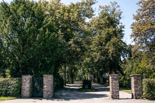 Eingangsbereich des Waltroper Friedhofs, im Hintergrund Bäume und der zentrale Weg des Friedhofs.